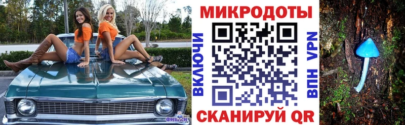 Купить где Чистополь Галлюциногенные грибы Psilocybe