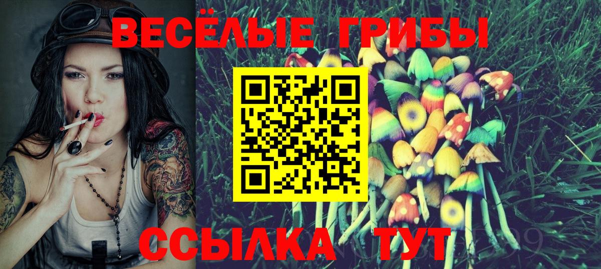Галлюциногенные грибы Cubensis  Вход с VPN  Чистополь  Галлюциногенные грибы Psilocybine cubensis 