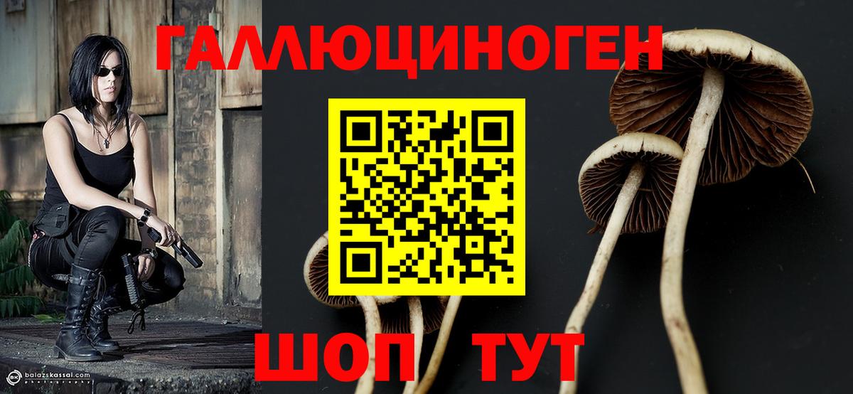 Псилоцибиновые грибы мухоморы  Чистополь  Псилоцибиновые грибы прущие грибы 