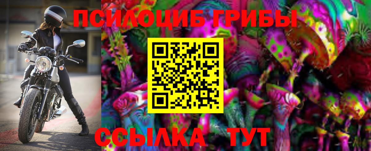 Псилоцибиновые грибы мицелий Чистополь